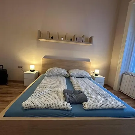 Fancy Cozy 2 Bdr Downtown Daire