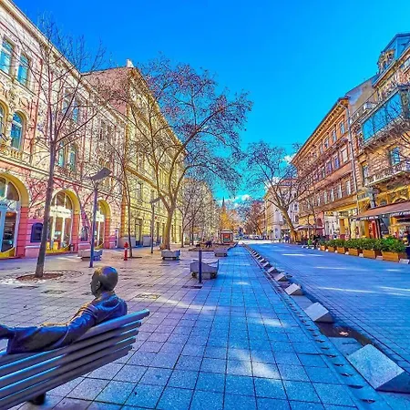 Fancy Cozy 2 Bdr Downtown